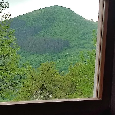 Holiday home Positive Vibes *