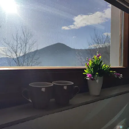 Positive Vibes Holiday home *