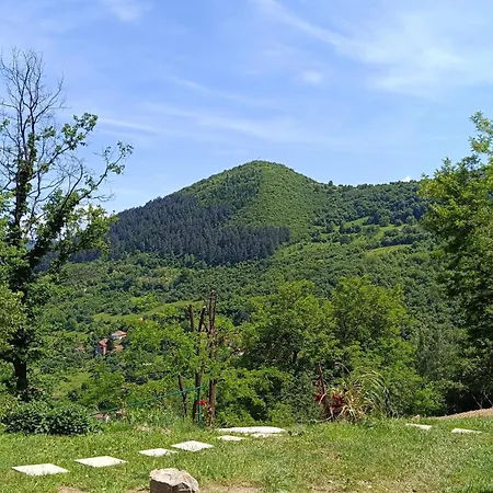 Positive Vibes 別荘